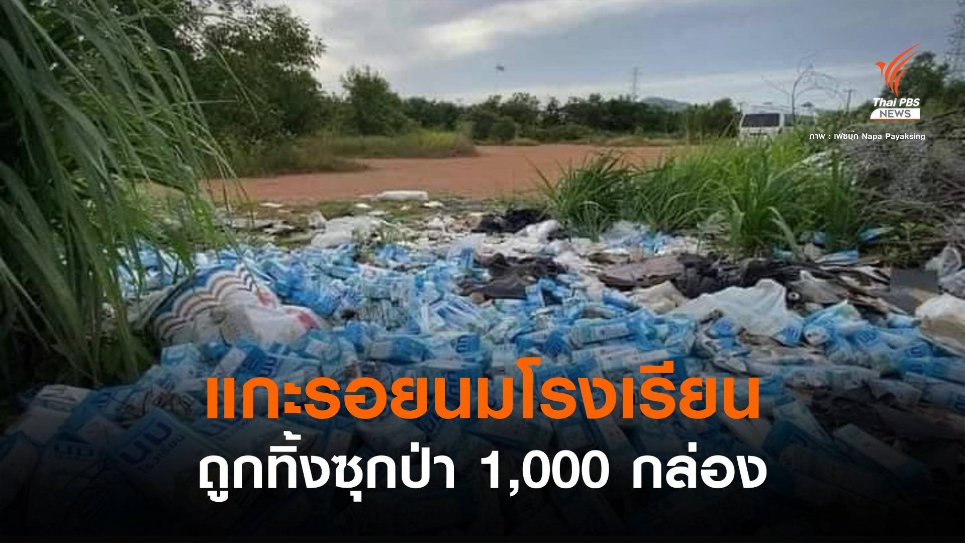 เร่งแกะรอย! นมโรงเรียน 1,000 กล่องถูกทิ้งในป่า จ.ระยอง