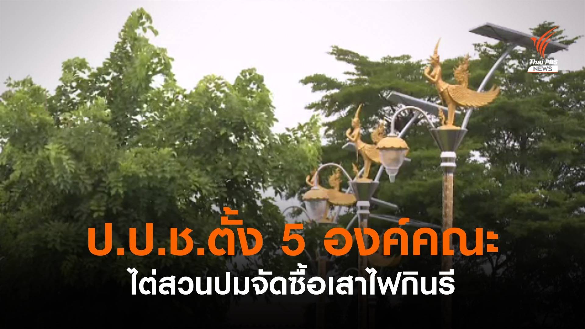 ป.ป.ช.ตั้ง 5 องค์คณะไต่สวนปมจัดซื้อเสาไฟกินรี อบต.ราชาเทวะ