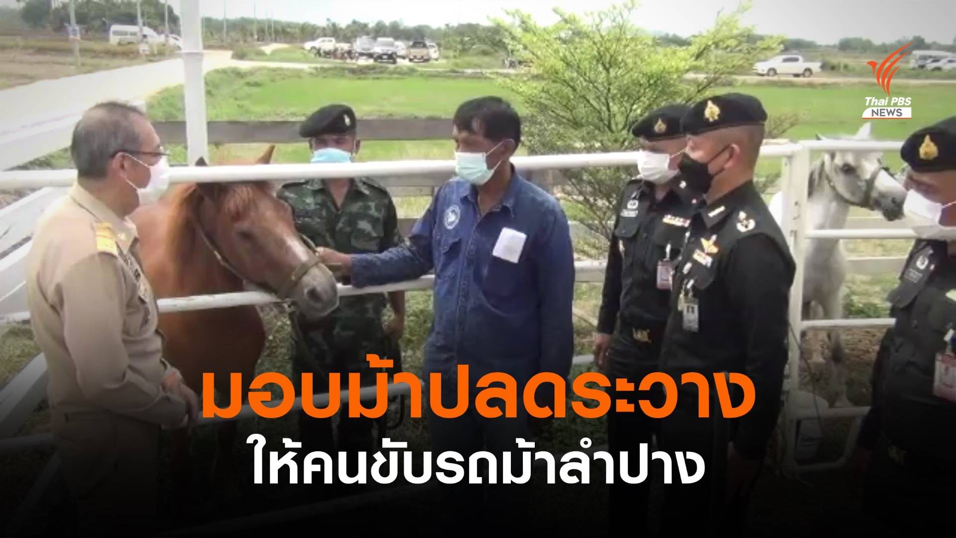 มอบม้าปลดระวางให้คนขับรถม้าลำปาง