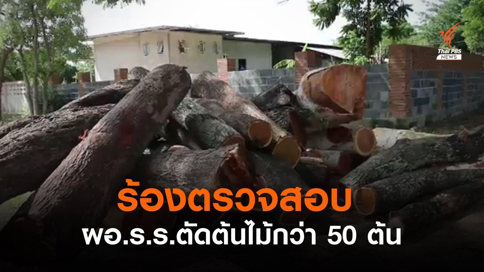 ชาวสุรินทร์ ร้องตรวจสอบ ผอ.ร.ร.ตัดต้นไม้กว่า 50 ต้น
