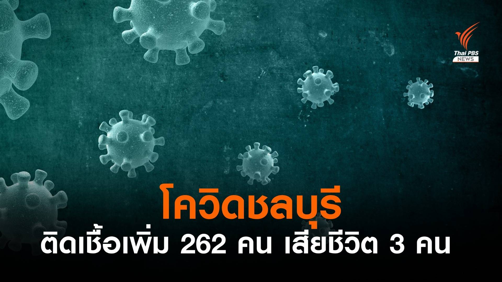โควิดชลบุรี ติดเชื้อเพิ่ม 262 คน เสียชีวิต 3 คน