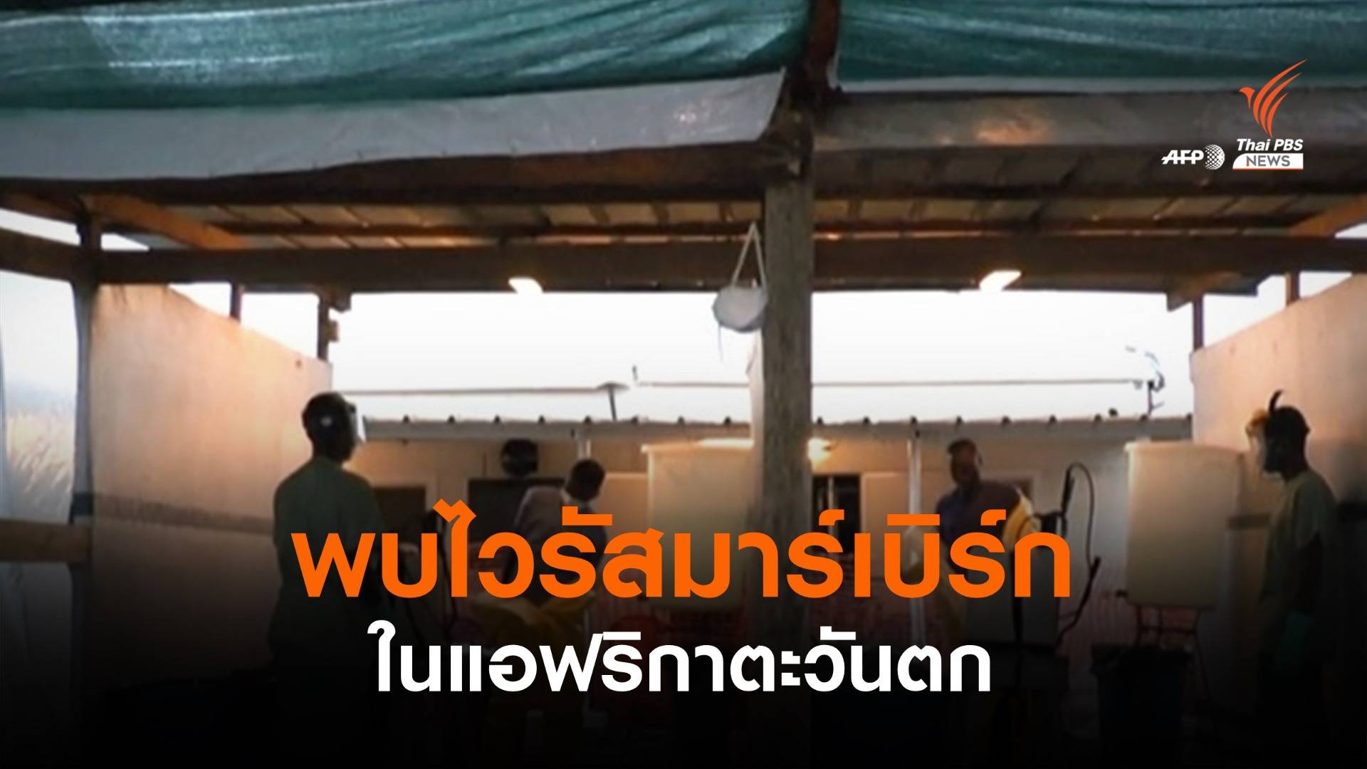 พบไวรัส "มาร์เบิร์ก" กลับมาอีกครั้งในแอฟริกาตะวันตก