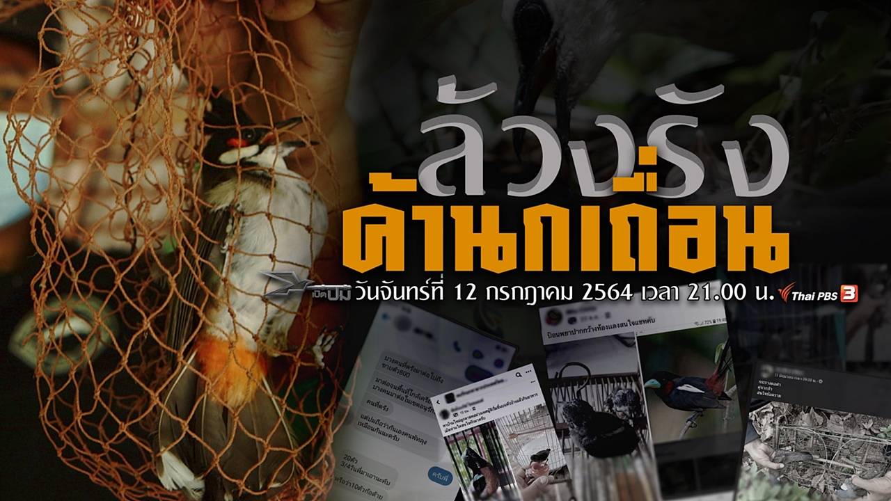 เปิดปม : ล้วงรังค้านกเถื่อน