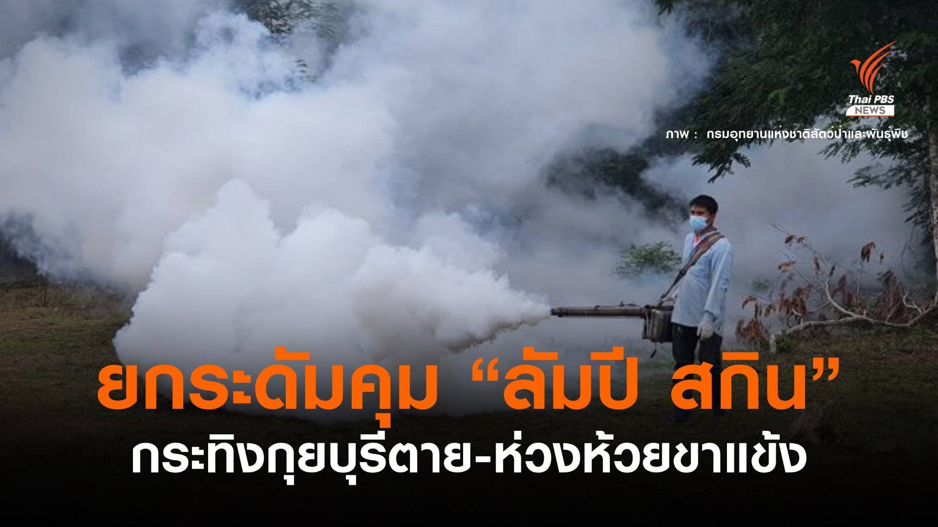 อุทยานฯ ยกระดับคุม "ลัมปี สกิน" ประชิดป่าห้วยขาแข้ง