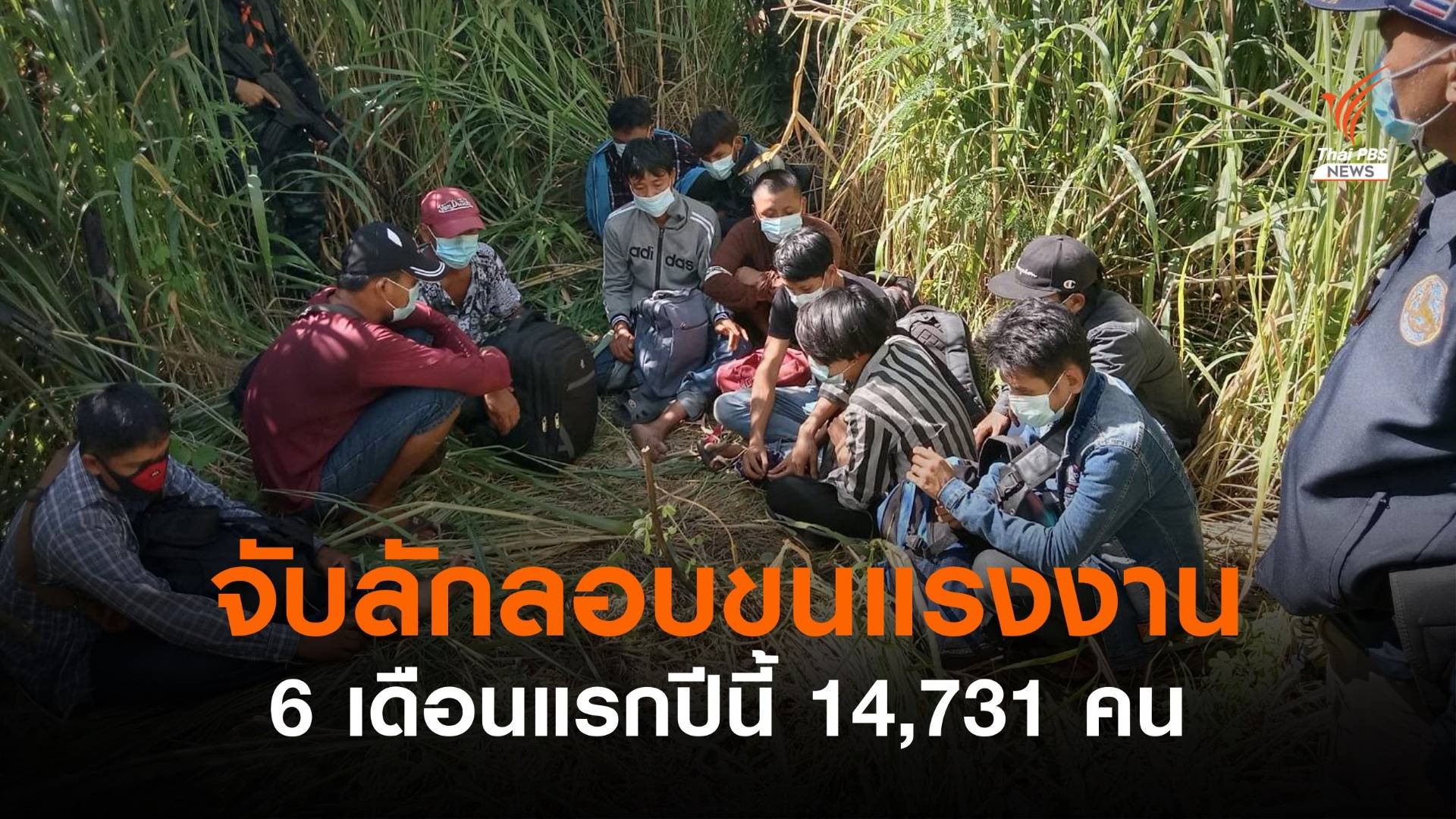 ตร.จับขบวนการลักลอบขนแรงงาน 6 เดือนแรกปีนี้ 14,731 คน