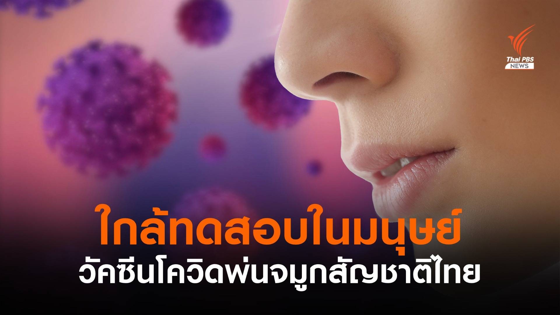 วัคซีนสู้โควิด "แบบพ่นจมูก" สัญชาติไทย