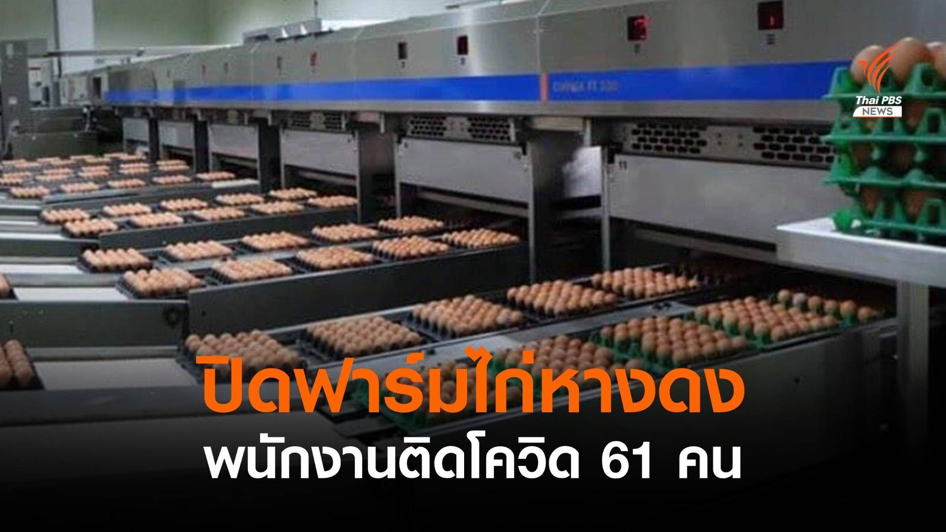 เชียงใหม่สั่งปิด 14 วัน "ฟาร์มไก่" อ.หางดง ติดโควิด 61 คน