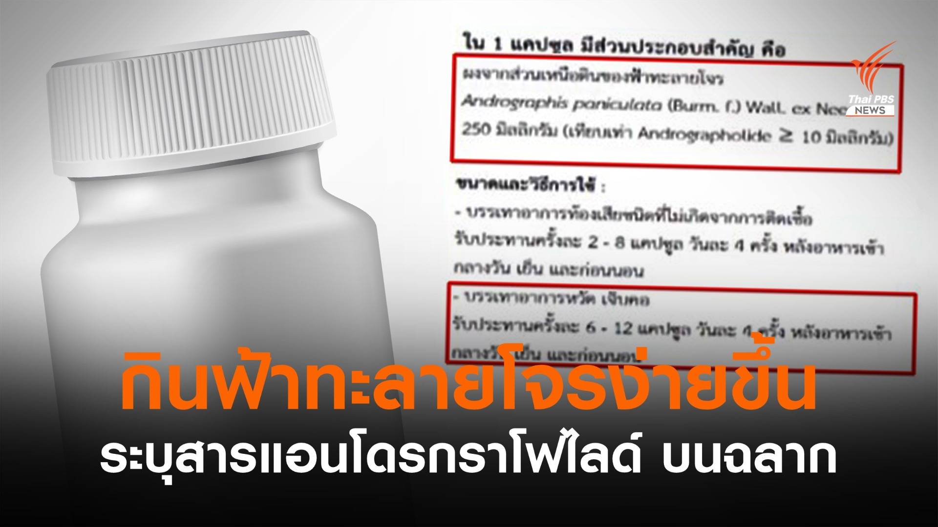 แก้ฉลากยา "ฟ้าทะลายโจร" ระบุปริมาณแอนโดรกราโฟไลด์ต่อเม็ด ช่วยผู้ป่วยกินยาง่ายขึ้น