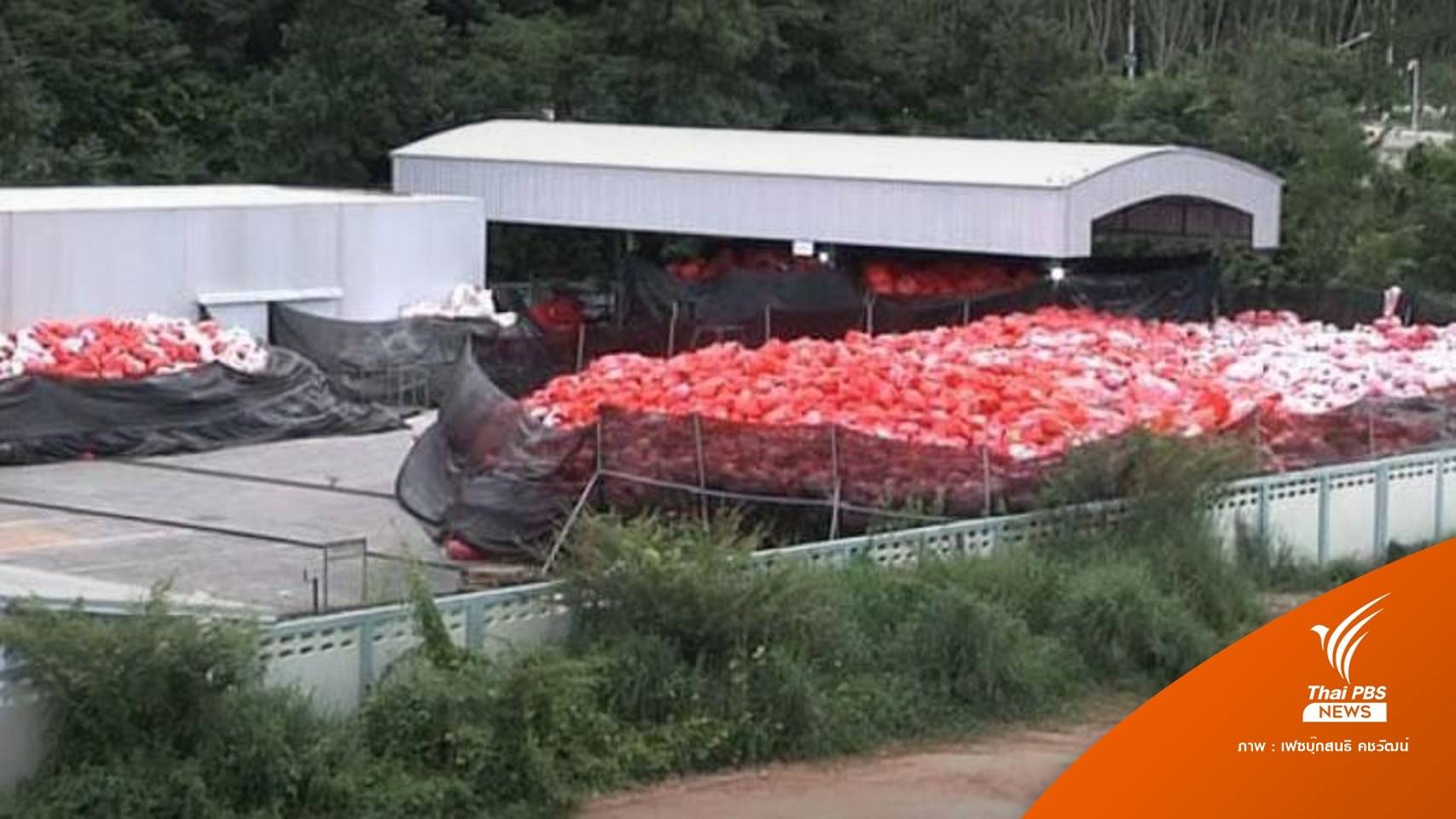 สธ.ปลดล็อกให้รง.อุตสาหกรรมเผาขยะโควิดตกค้าง 1,500 ตัน