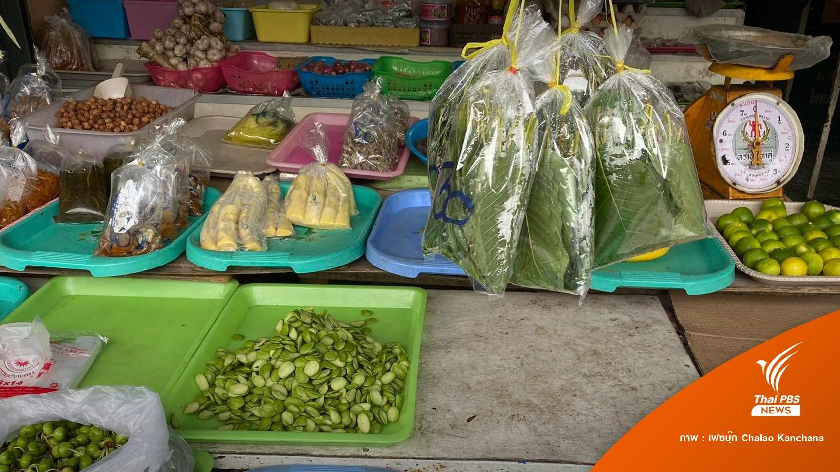 "ใบกระท่อม" สุดฮิต วางขายริมถนนกลางกรุง