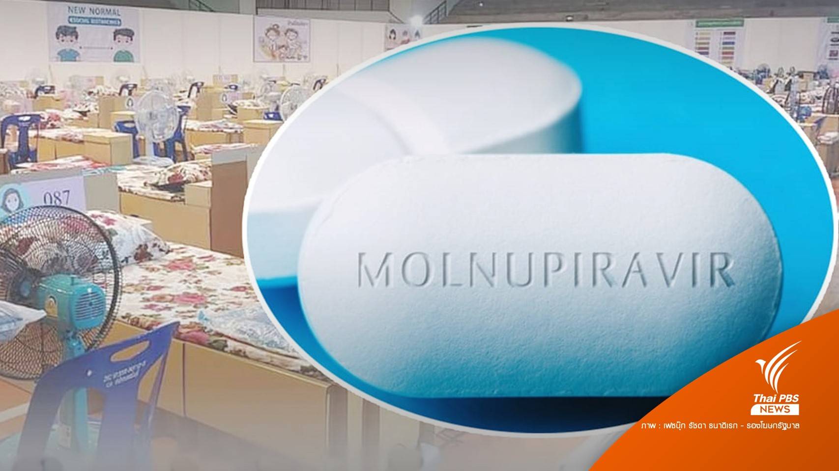 สธ.เตรียมนำเข้า "โมลนูพิราเวียร์" ยารักษาโควิดโดยเฉพาะ