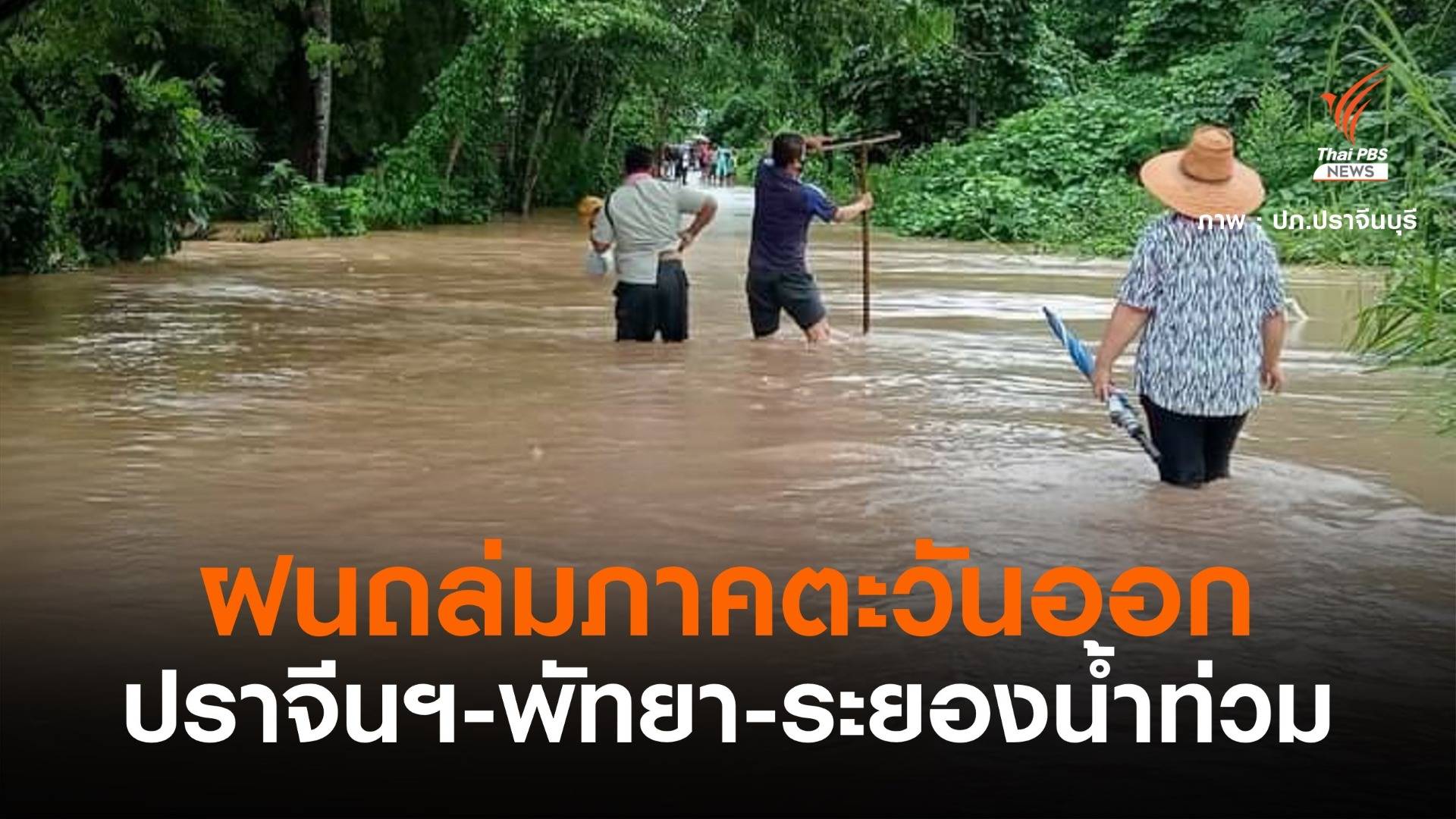 ฝนถล่ม! "ปราจีนบุรี" น้ำป่าหลากท่วม 2 หมู่บ้าน พัทยา น้ำขังสูง