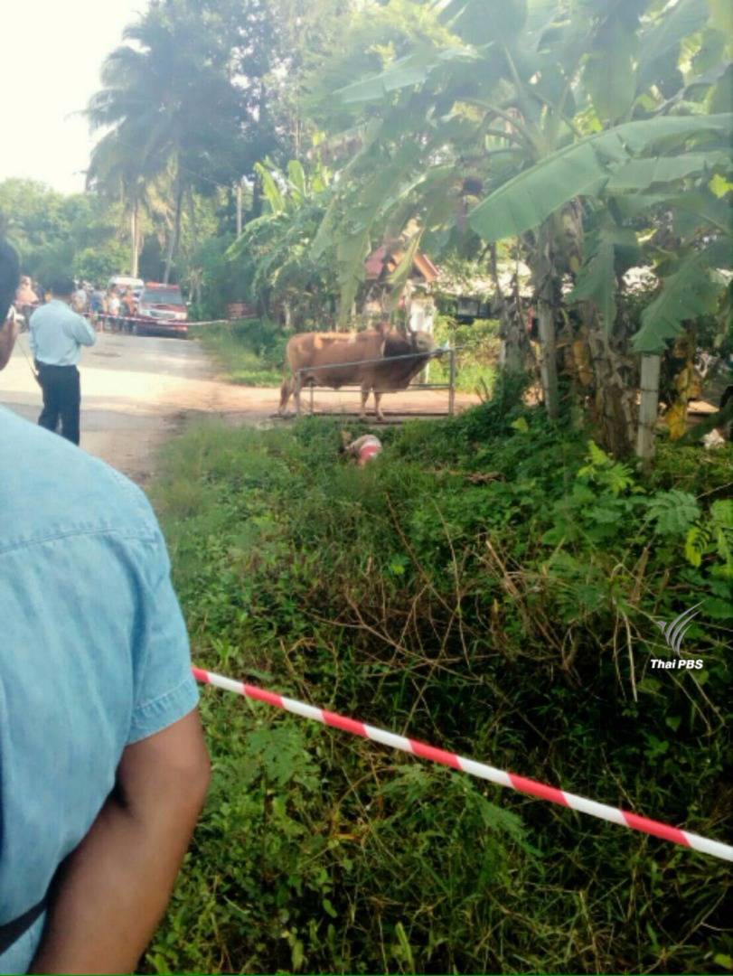 บุกยิง “อดีตรองนายก อบจ.นครศรีธรรมราช” เสียชีวิต