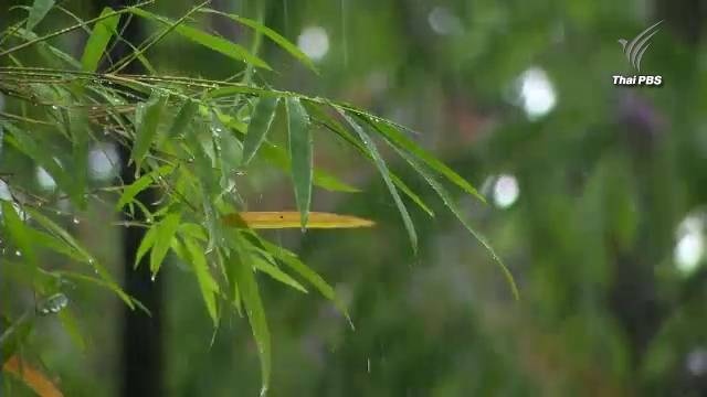 กทม.สั่งเตรียมพร้อมรับมือปริมาณน้ำฝน