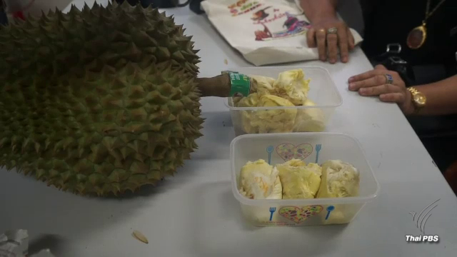 หิ้วทุเรียนแจ้งความ หลังถูกแม่ค้าแอบอ้างว่าเป็น “ทุเรียนภูเขาไฟ” พบเนื้อไม่มีคุณภาพ