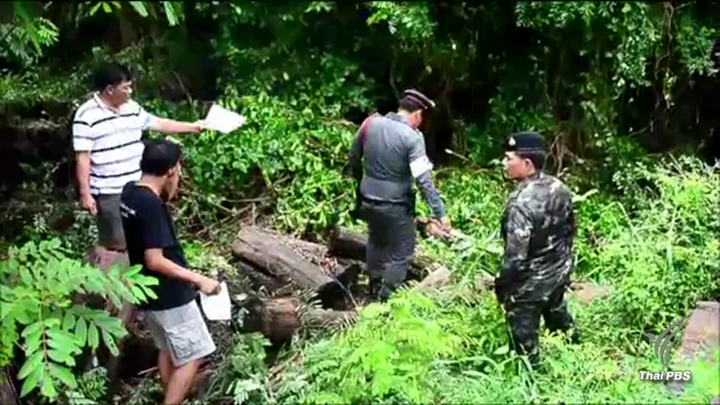 "ไม้พะยูง" ขององค์การอุตสาหกรรมป่าไม้ถูกขโมย 26 ท่อน