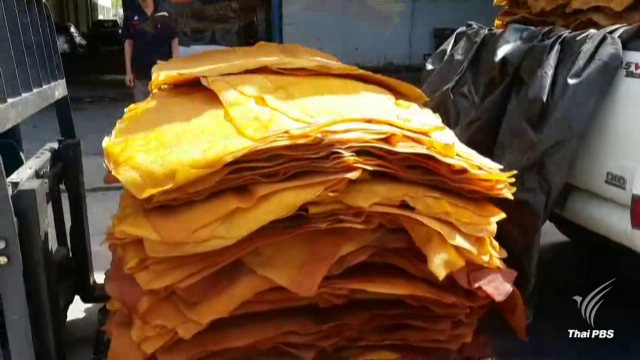 กระทรวงเกษตรฯ ชง ครม.ช่วยเหลือชาวสวนยางพารา