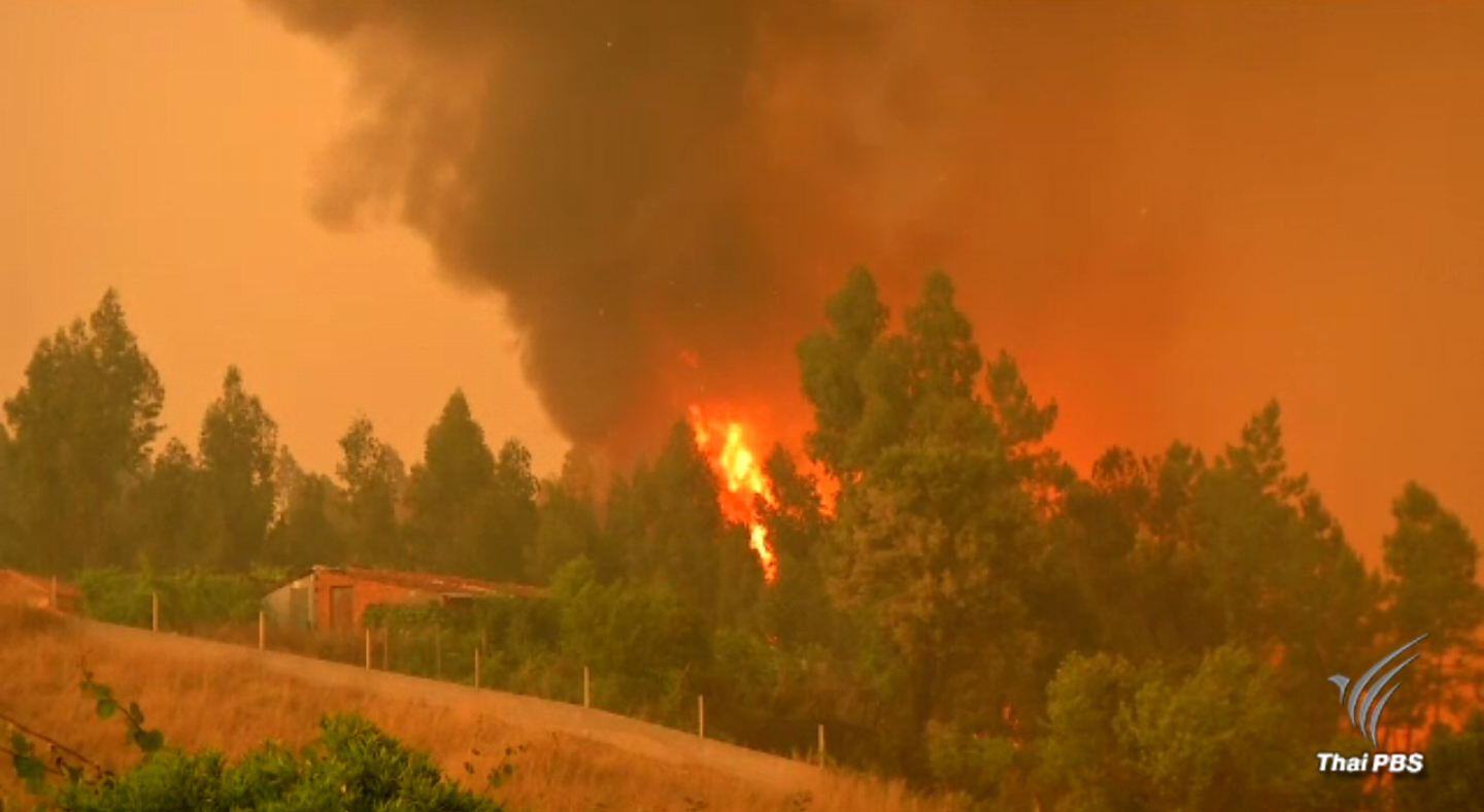 วิกฤตไฟป่าครั้งเลวร้ายในโปรตุเกส เสียชีวิตเพิ่มเป็น 62 คน 