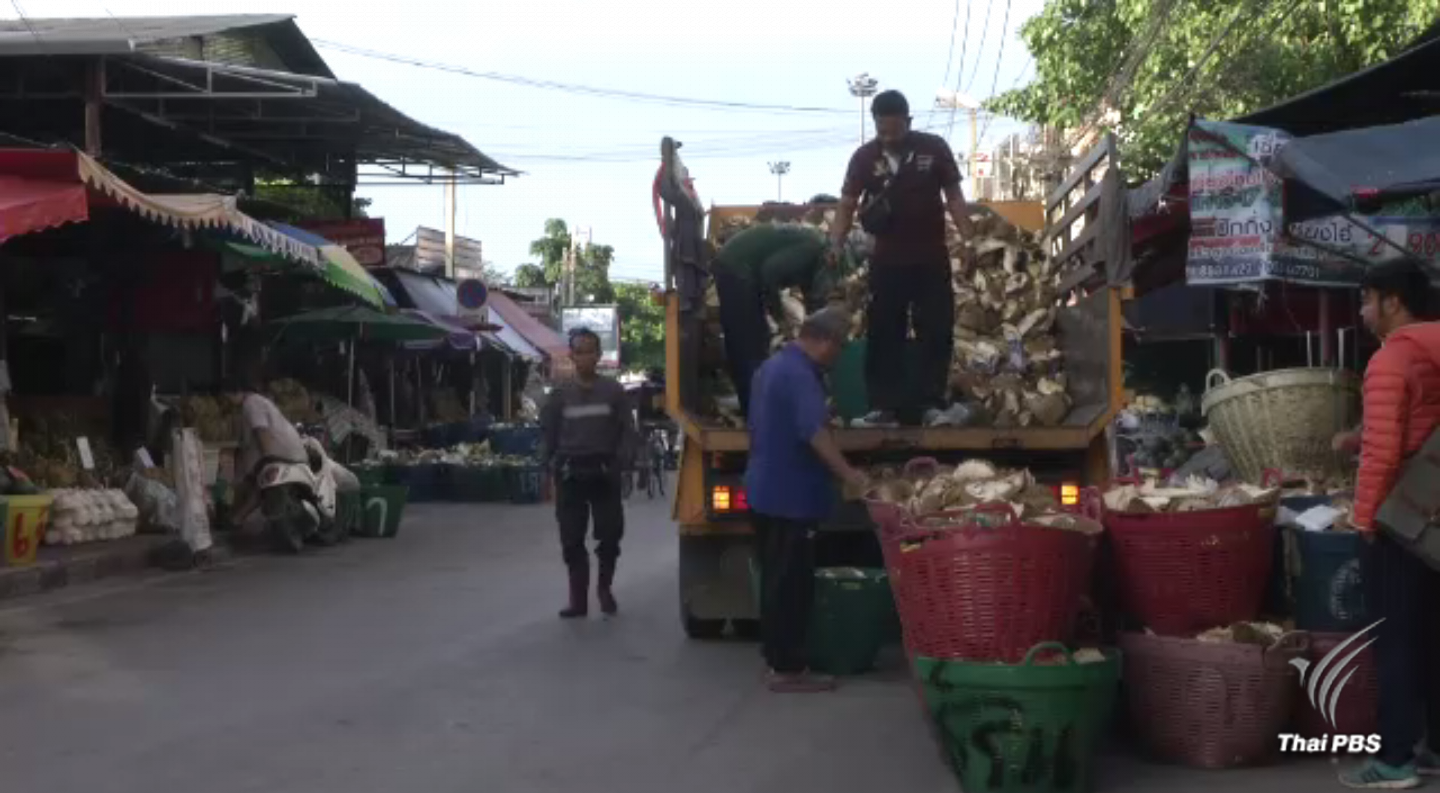 นักวิชาการสิ่งแวดล้อมแนะแปรรูปเปลือกทุเรียนเป็นถ่านอัดแท่ง-ปุ๋ย