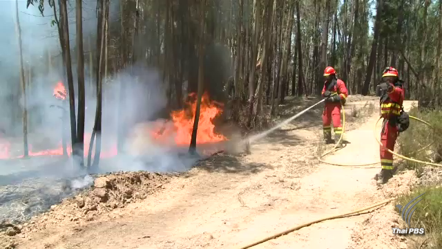 คุม “ไฟป่า” โปรตุเกสได้แล้ว - จนท.ดับเพลิงแย้งอาจเกิดการวางเพลิง