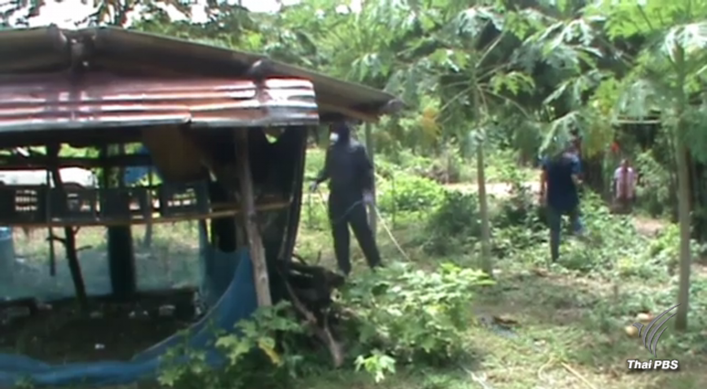 สสจ.สุโขทัยเฝ้าระวัง "อหิวาต์ไก่" หลังพบหญิงอายุ 62 ปีต้องสงสัยอาจติดเชื้อ