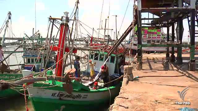 ก.เกษตรฯ พร้อมให้ EU  ตรวจ IUU ต้น ก.ค.นี้