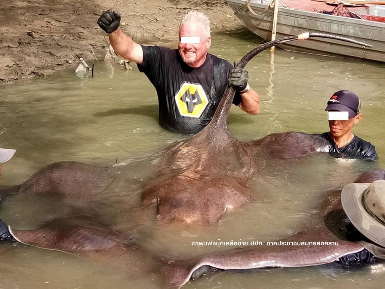 กังขาประมงอนุญาตตกปลากระเบนราหู-อ้างวิจัย ถ่ายเซลฟี่