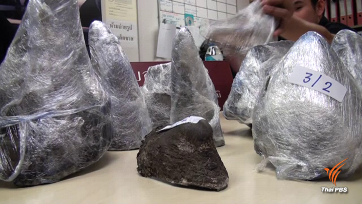 จับจนท.ด่านกักกันพืช เอี่ยวลักลอบค้า "นอแรด"