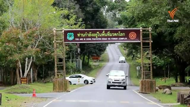 5 พื้นที่เสี่ยงสัตว์ป่าถูกรถชนอยู่ที่ไหนบ้าง?