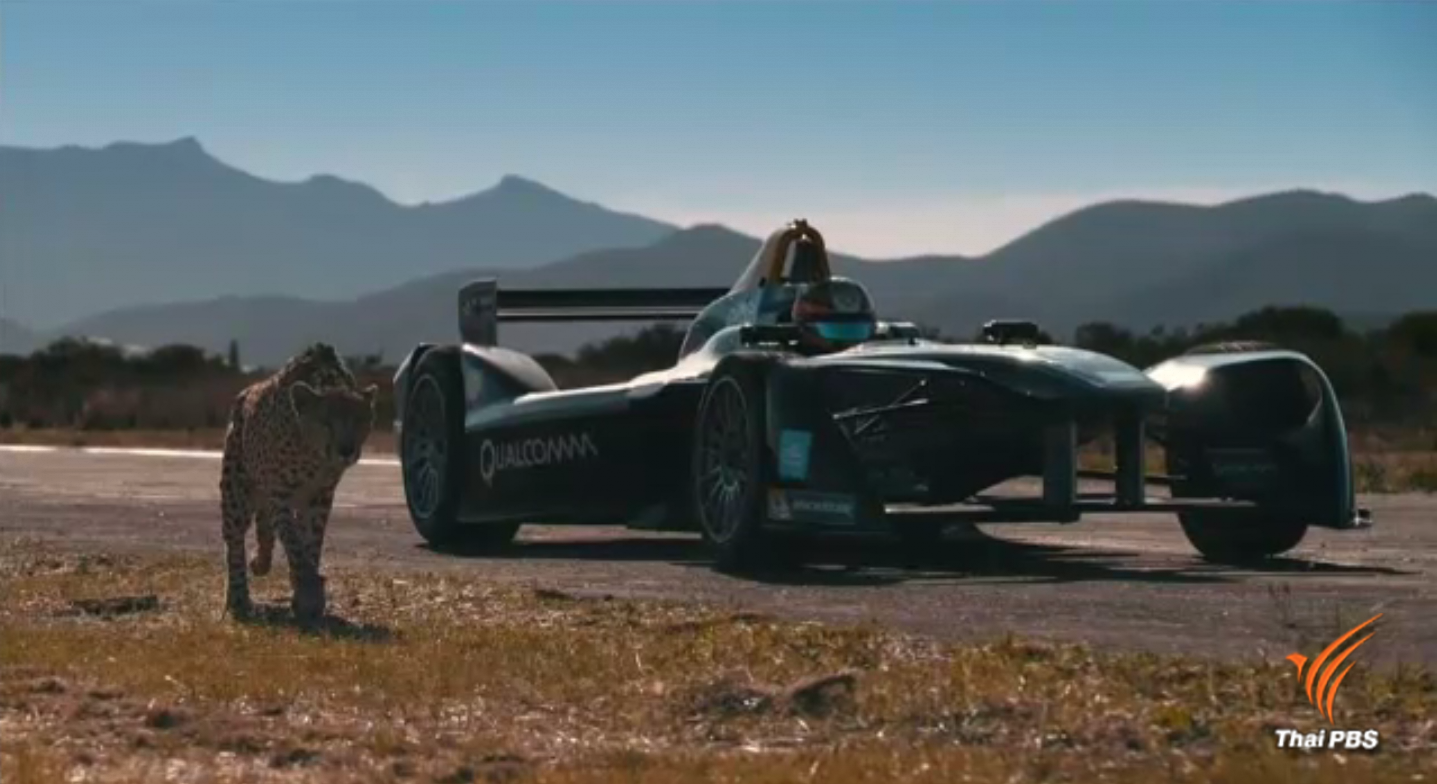 รถแข่งพลังงานไฟฟ้าประลองความเร็วกับเสือชีตาห์