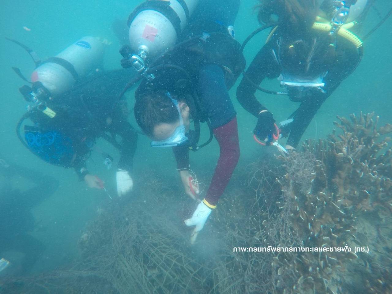 ทช.ส่งทีม "กู้ชีพปะการัง”เก็บอวน-เครื่องมือประมงใต้ทะเล 