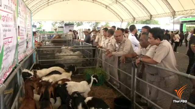 นายกฯเปิดตลาดกลางปศุสัตว์ ภายใต้โครงการ "สามเหลี่ยมมั่นคง มั่งคั่ง ยั่งยืน"