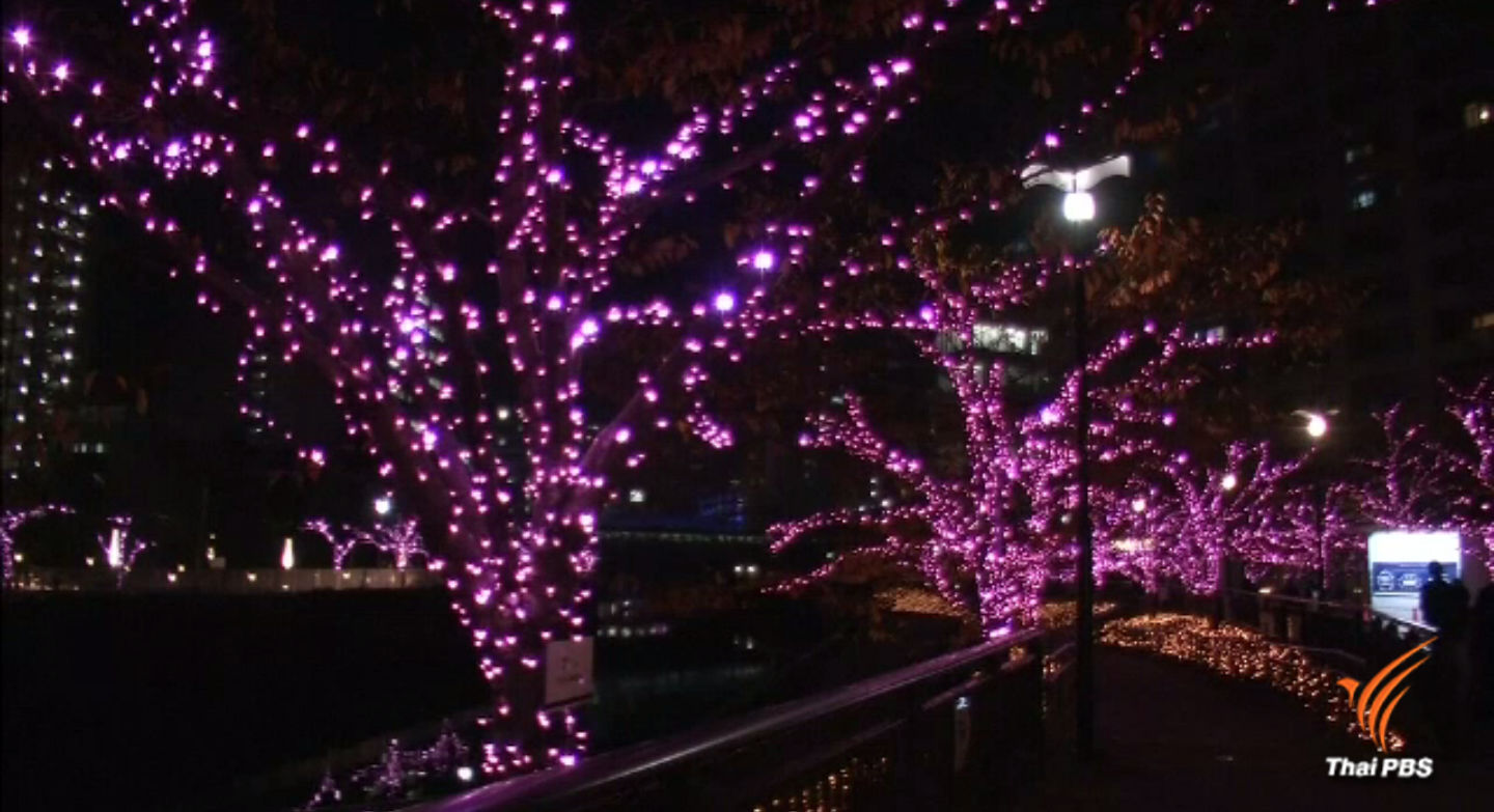 ญี่ปุ่นประดับไฟที่ใช้พลังงานจากน้ำมันประกอบอาหาร