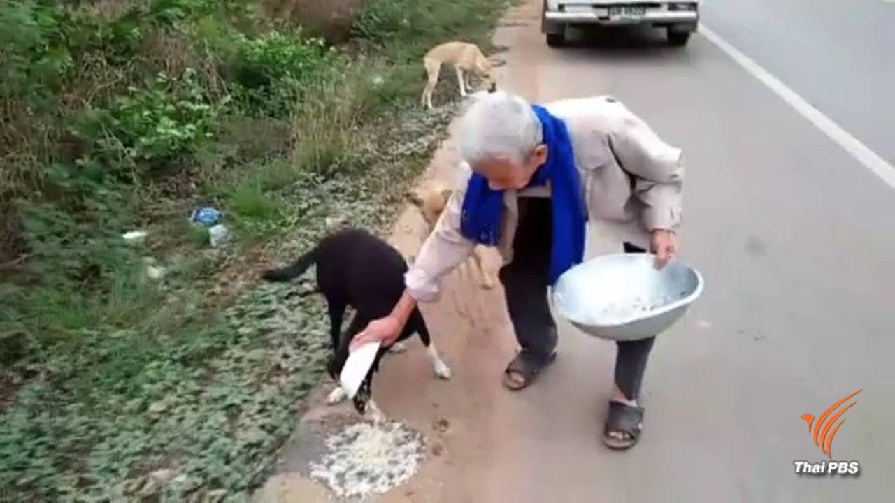ชื่นชมชายวัย 85 ให้อาหารสุนัขจรจัดทุกวันที่อุดรธานี