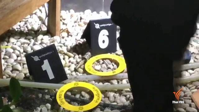 ผู้ก่อเหตุยิงอดีตนักข่าวเข้ามอบตัว สน.ทุ่งสองห้อง