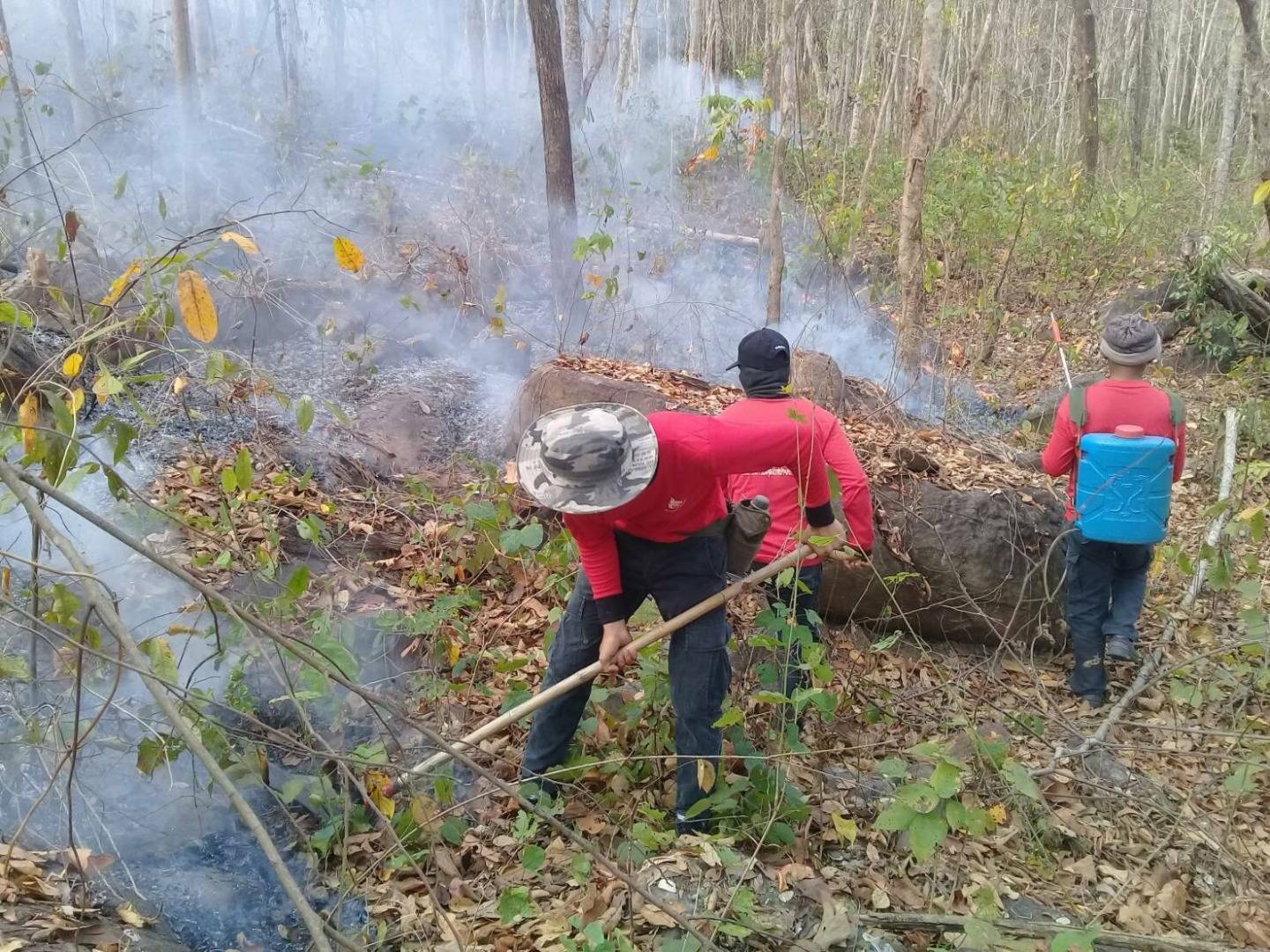 ไฟป่าลามอุทยานฯ ภูจองนายอย เสียหาย 8 ไร่