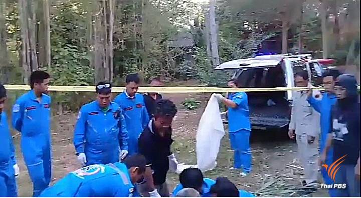 ช้างป่าเหยียบคนตาย 1 คน ในชุมชนเขาชะเมา 
