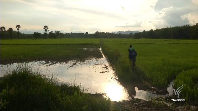 "ศาสตร์พระราชา" สู่ยุทธศาสตร์ชาติ