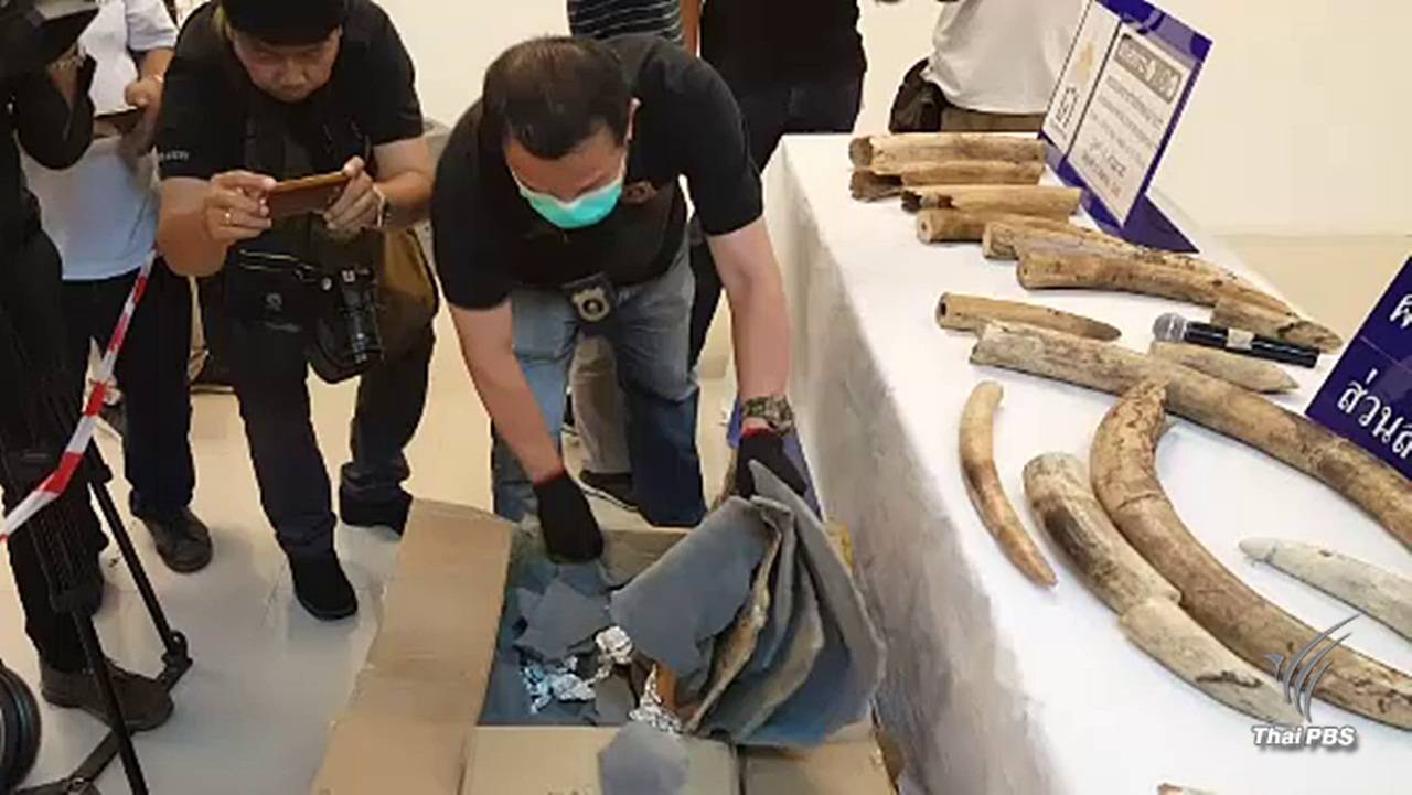 ยึดงาช้างแอฟริกามูลค่า 4 ล้านบาทในสนามบินสุวรรณภูมิ