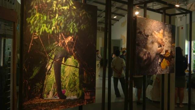 "เขาใหญ่" นำร่องอุทยานฯ 4.0 แห่งแรกของไทย