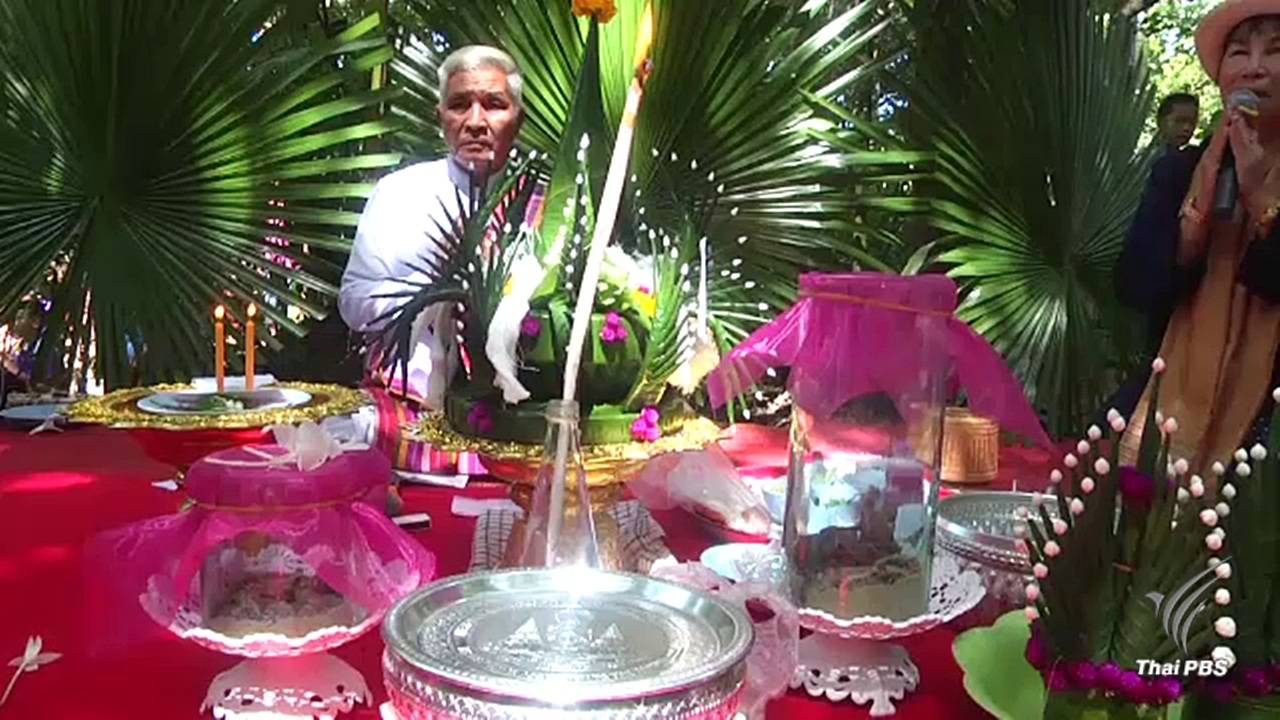 กาฬสินธุ์จัดพิธีแต่งงานอึ่งอ่าง สินสอด 10 ล้านบาท