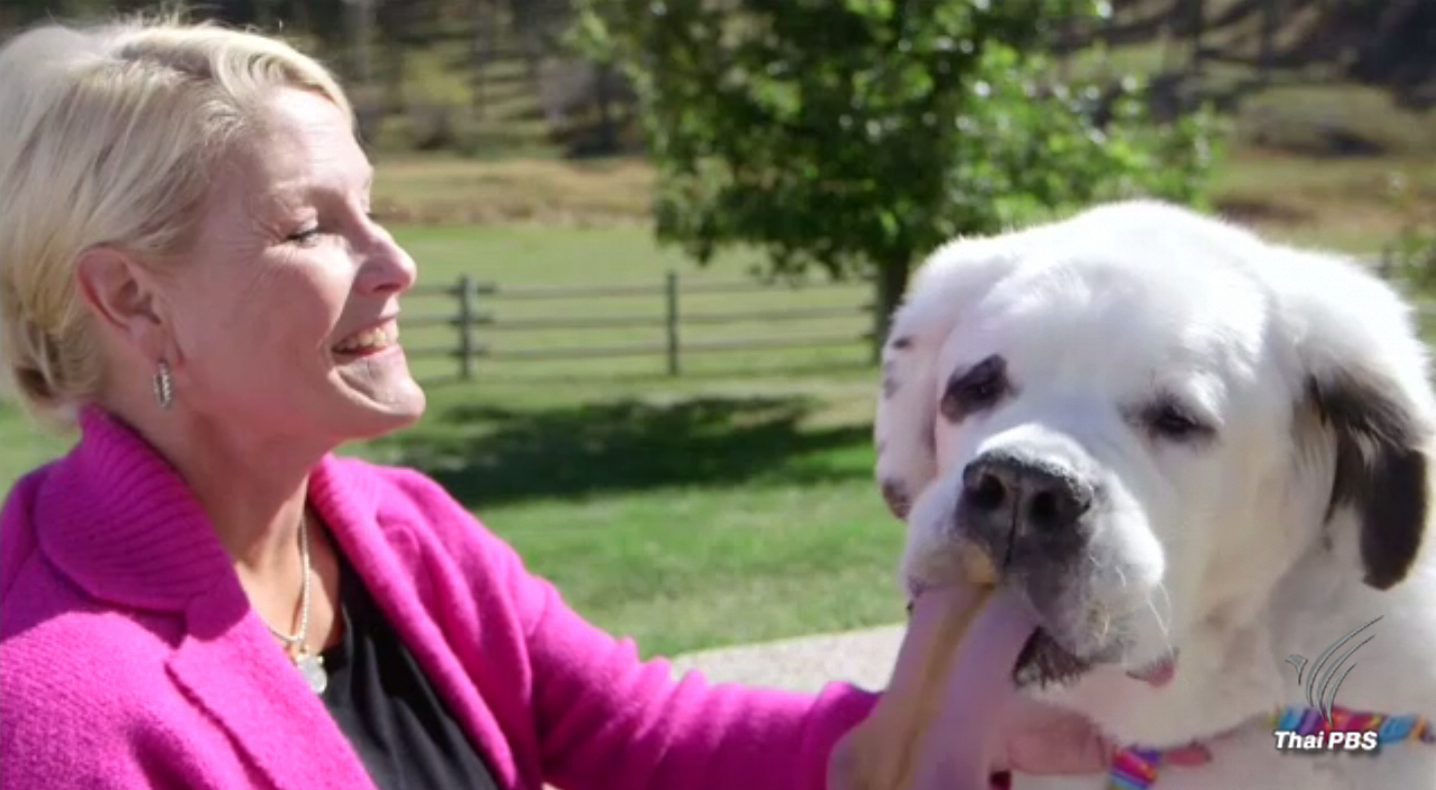 "โมชิ" ทำลายสถิติเดิมขึ้นแท่นเป็นสุนัขที่มีลิ้นยาวที่สุดในโลก