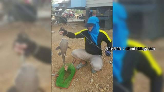 ธุรกิจตกปลาพันธุ์ต่างถิ่นเข้าข่ายผิด ก.ม.กรมประมง