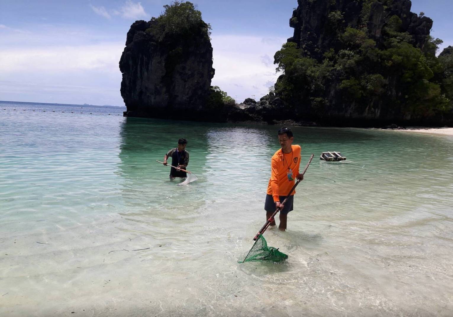 เตือนเล่นน้ำทะเล"หมู่เกาะห้อง" ระวังแมงกะพรุนไฟสีชมพู