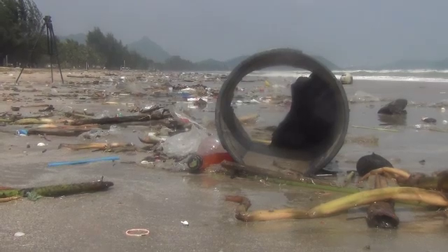 “ธรณ์” เรียกร้องคนไทยหยุดทิ้งขยะ หลังพบชายฝั่งทะเลอ่าวไทยมีขยะเพียบทุกปี