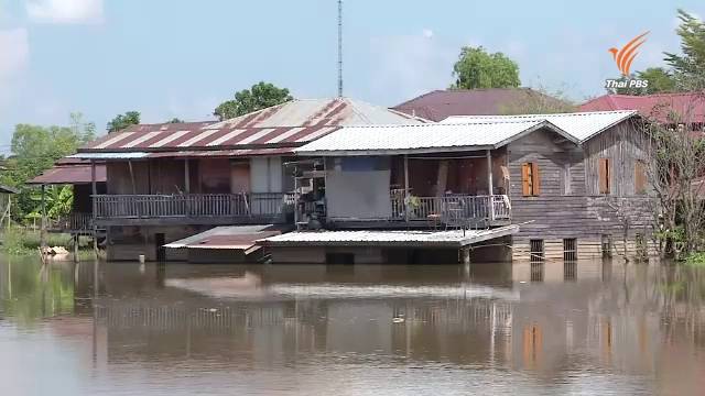 ชาวพิจิตรยังเผชิญน้ำท่วมขัง แม้แม่น้ำยมเริ่มลดระดับ