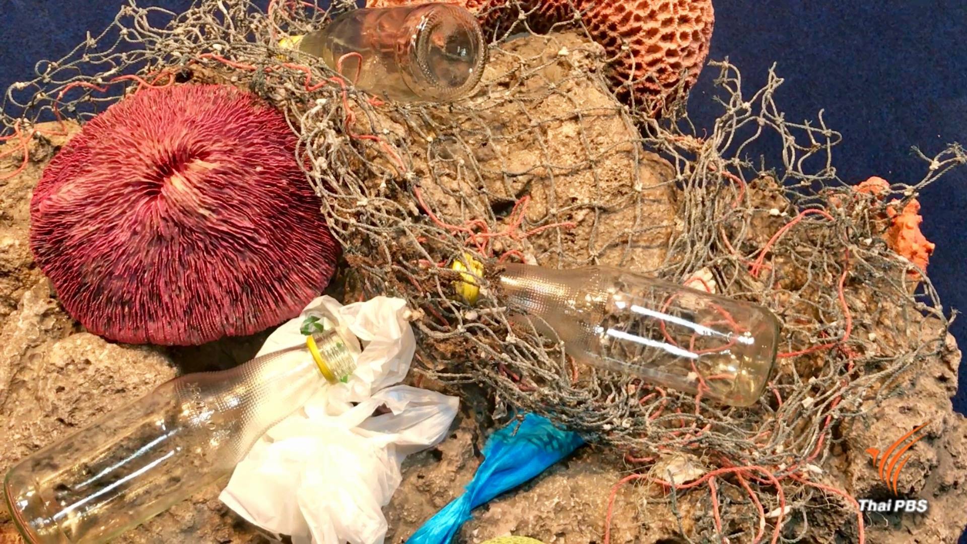 หยุดทำร้ายมหาสมุทร ไทยผลักดัน "อาเซียน" ลดขยะทะเล