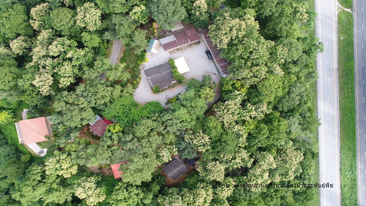 "ชุดพญาเสือ" ยึดเพิ่มที่ดินบ้านพักสมัคร ดอนนาปี รุกป่ามิสก๊อกกว่า 4 ไร่