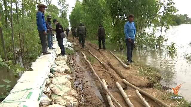 น้ำชีเซาะพนังกั้นขาดน้ำทะลักท่วมนาข้าวกว่าหมื่นไร่