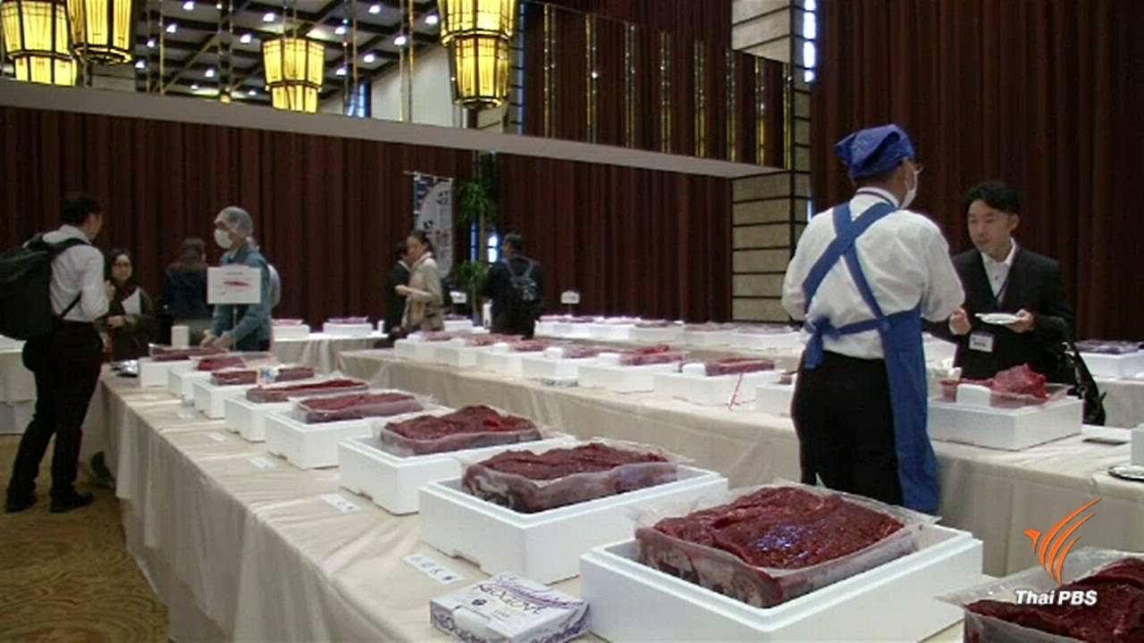 ญี่ปุ่นจัดเทศกาลกินเนื้อวาฬ สวนกระแสอนุรักษ์